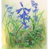 Bluebells Painting