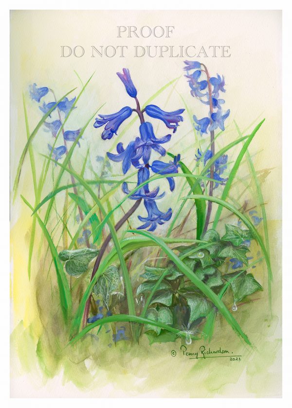 Bluebells Painting