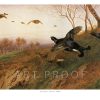 Archibald Thorburn Autumn Alarm